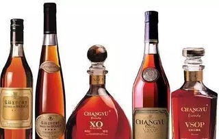 飲料 非醉人甜品的溫柔世界